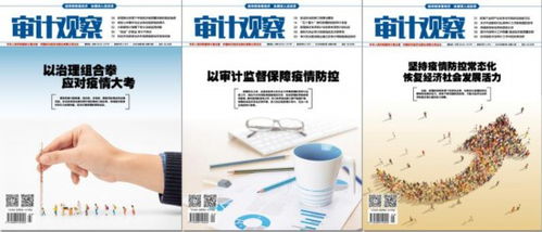 審計觀察 為疫情防控提供精準信息服務